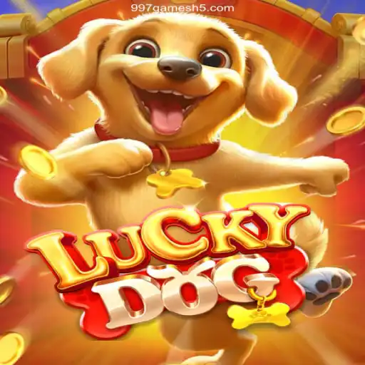 Discover the Excitement of LuckyDog with 997.games Oficial 💯️